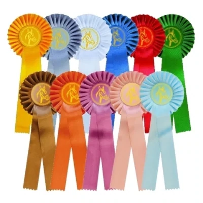 Siegerschleifen Robo