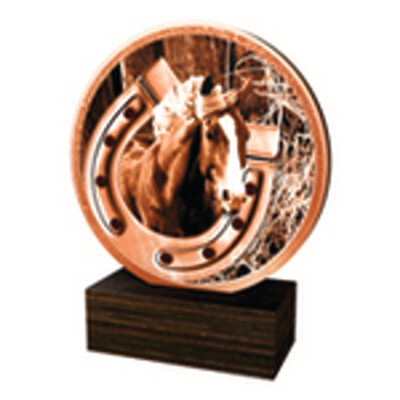 Reitsport Trophäe BW in 4 Farben G/S/B und Alt/Gold