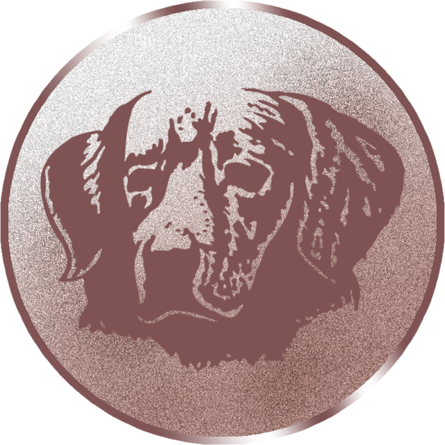 Emblem G16F in G/S/B 25mm und 50mm Lieferbar