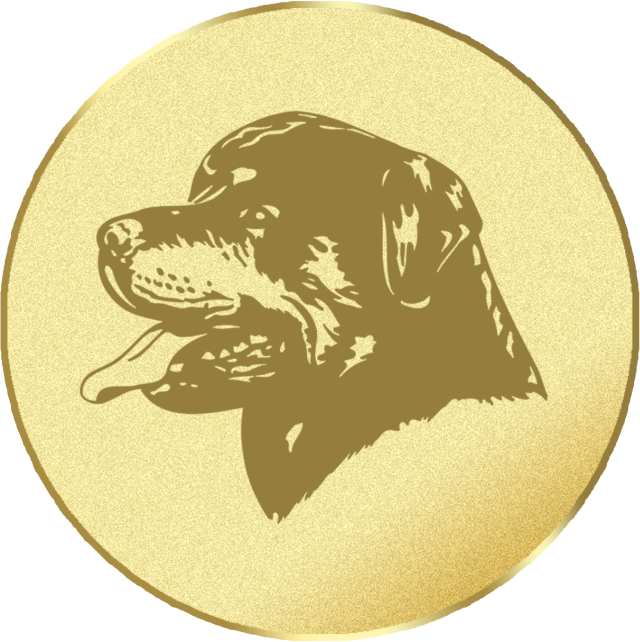 Emblem G16A in G/S/B 25mm und 50mm Lieferbar