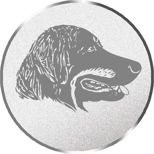 Emblem G16B in G/S/B 25mm und 50mm Lieferbar