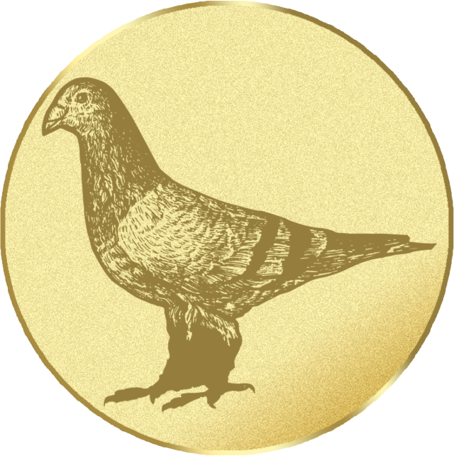 Emblem G22A in G/S/B 25mm und 50mm Lieferbar