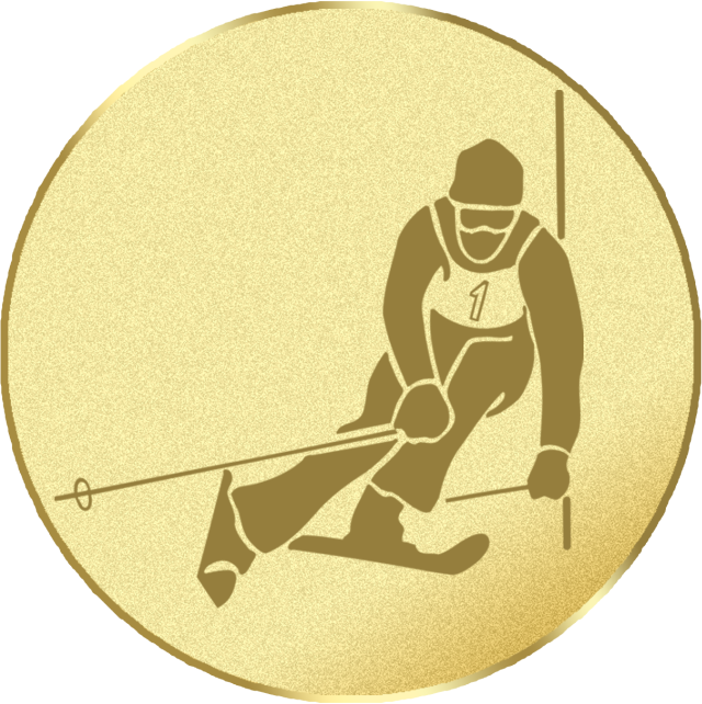 Emblem G13I in G/S/B 25mm und 50mm Lieferbar