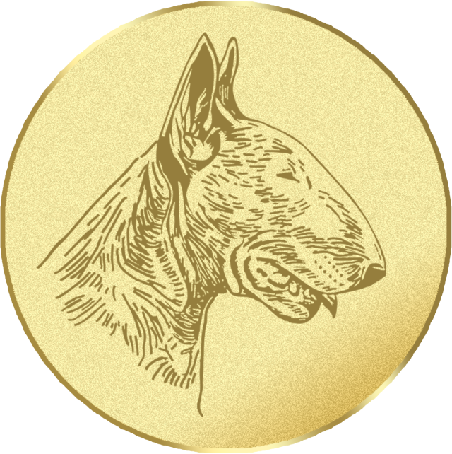 Emblem G16G in G/S/B 25mm und 50mm Lieferbar