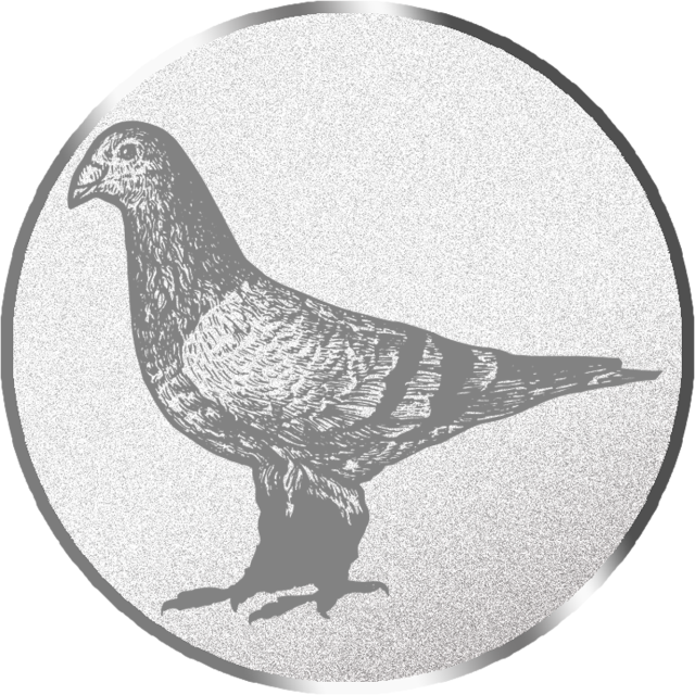 Emblem G22A in G/S/B 25mm und 50mm Lieferbar