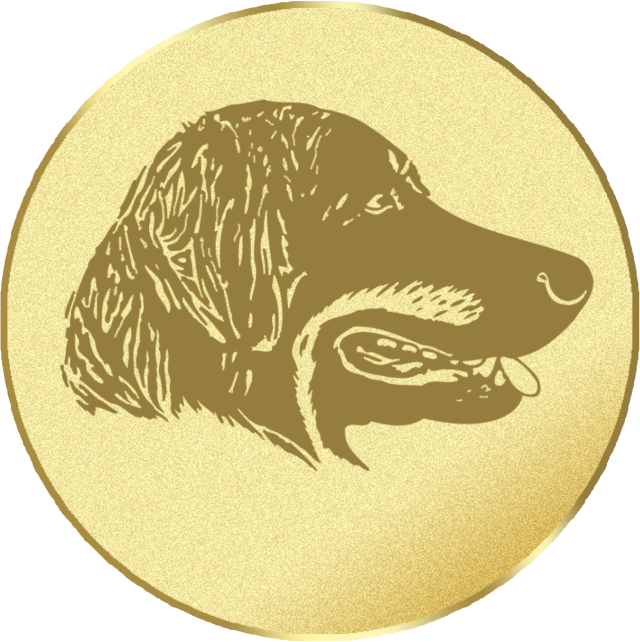 Emblem G16B in G/S/B 25mm und 50mm Lieferbar