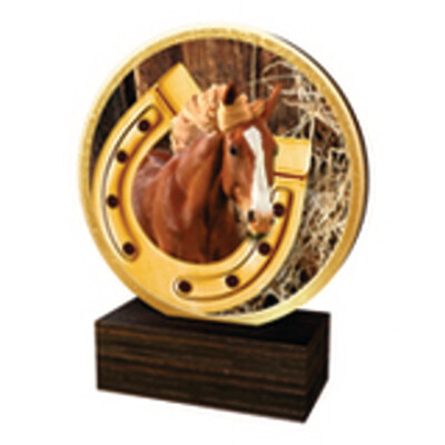 Reitsport Trophäe BW in 4 Farben G/S/B und Alt/Gold