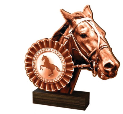 Reitsport Trophäe BF in 3 Farben G/S/B