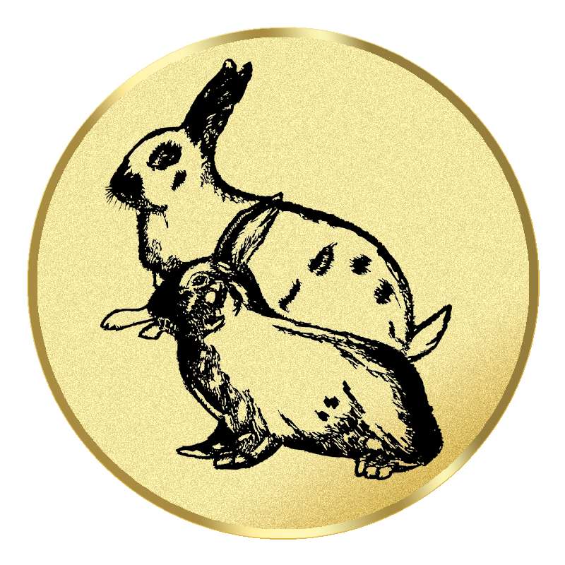 Emblem G17I in G/S/B 25mm und 50mm Lieferbar