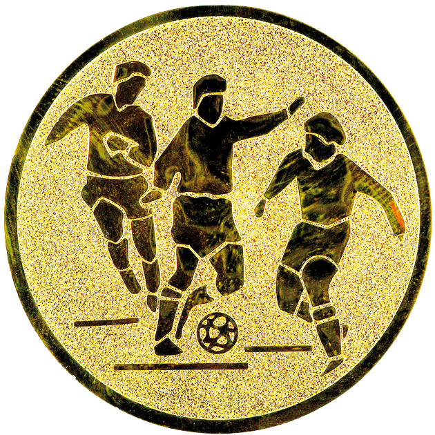 Emblem 144 in G/S/B 25mm und  50mm Lieferbar