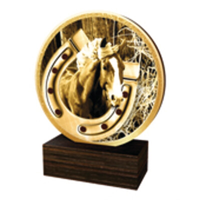 Reitsport Trophäe BW in 4 Farben G/S/B und Alt/Gold