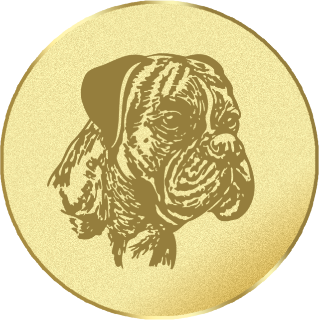 Emblem G16E in G/S/B 25mm und 50mm Lieferbar