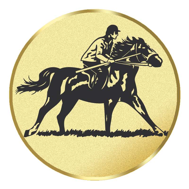 Emblem G20G  in G/S/B 25mm und 50mm Lieferbar