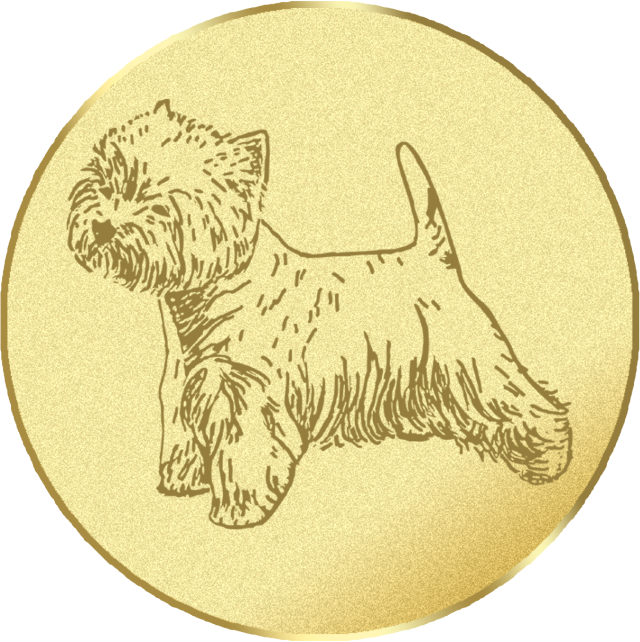 Emblem G16H in G/S/B 25mm und 50mm Lieferbar