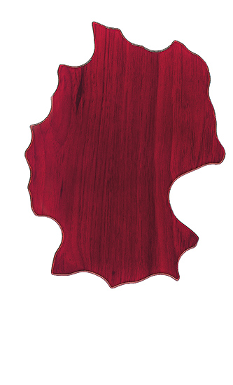 Plakette Deutschland zum Hängen