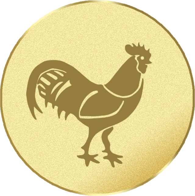 Emblem G17G in G/S/B 25mm und 50mm Lieferbar