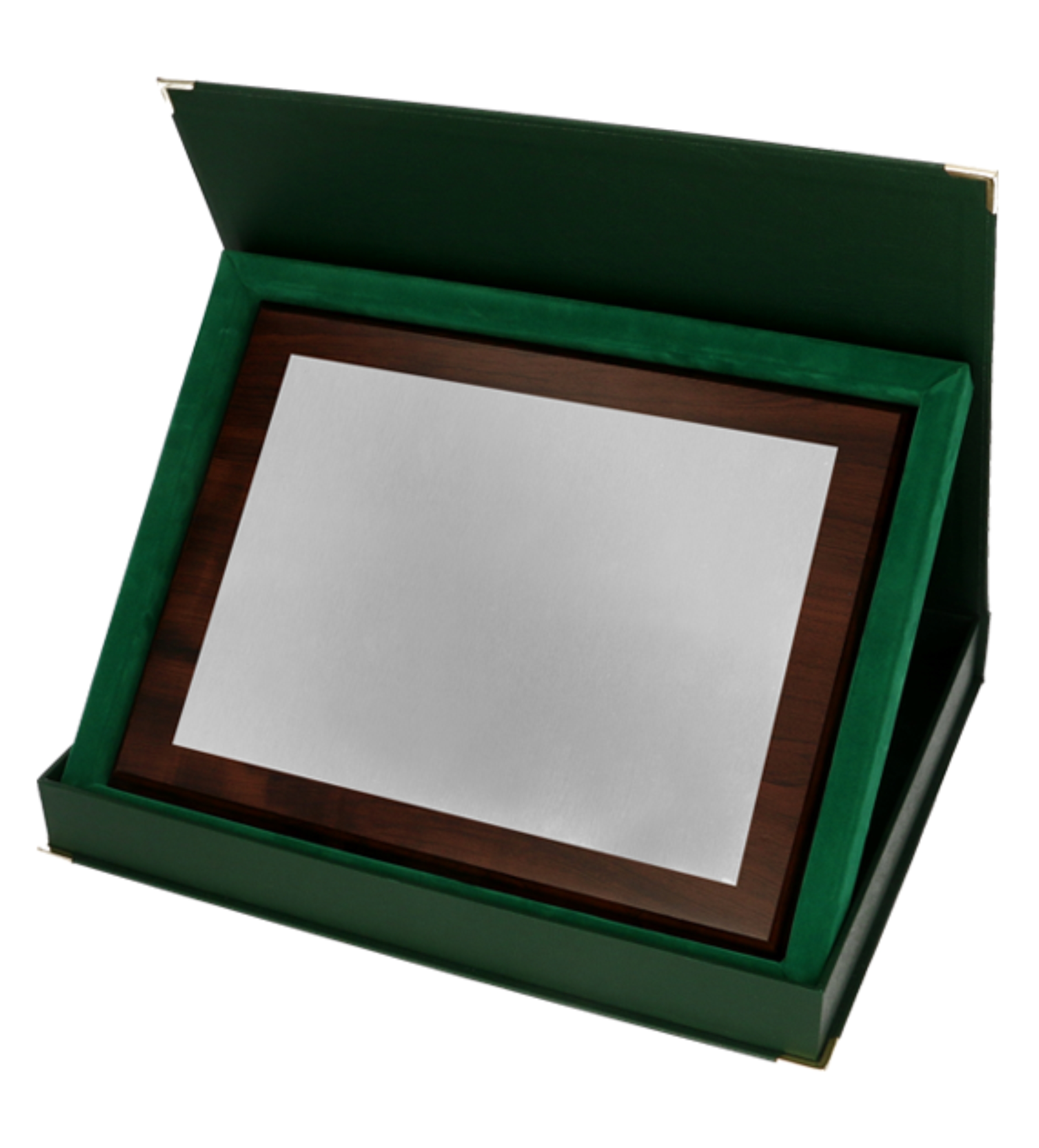 Holzplakette im Etui/Grün in 4 Größen Lieferbar