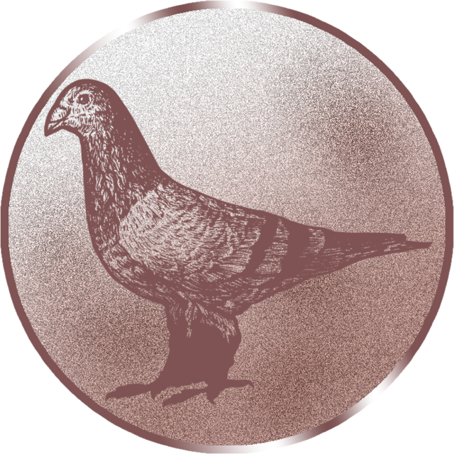 Emblem G22A in G/S/B 25mm und 50mm Lieferbar