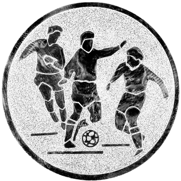 Emblem 144 in G/S/B 25mm und  50mm Lieferbar