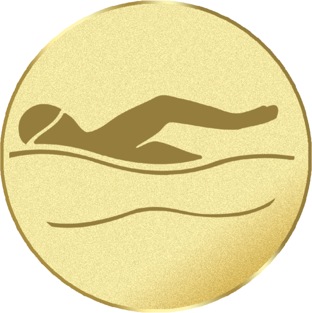 Emblem G3A in G/S/B 25mm und  50mm Lieferbar