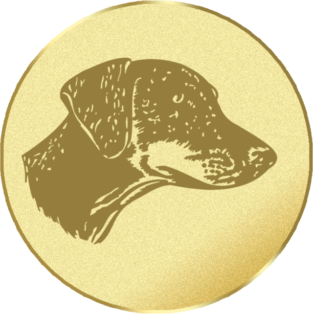 Emblem G16C in G/S/B 25mm und 50mm Lieferbar