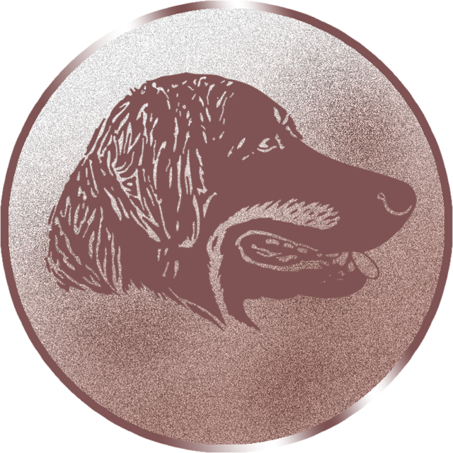 Emblem G16B in G/S/B 25mm und 50mm Lieferbar