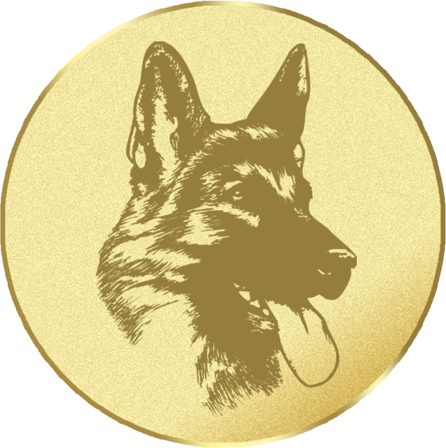 Emblem G16I in G/S/B 25mm und 50mm Lieferbar