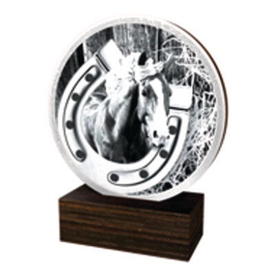 Reitsport Trophäe BW in 4 Farben G/S/B und Alt/Gold