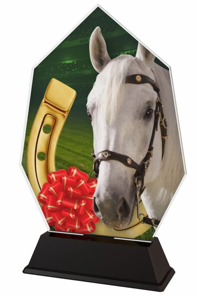 Reitsport Trophäe BFA166 in 11x7 cm