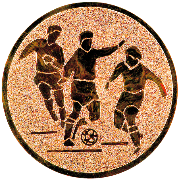 Emblem 144 in G/S/B 25mm und  50mm Lieferbar